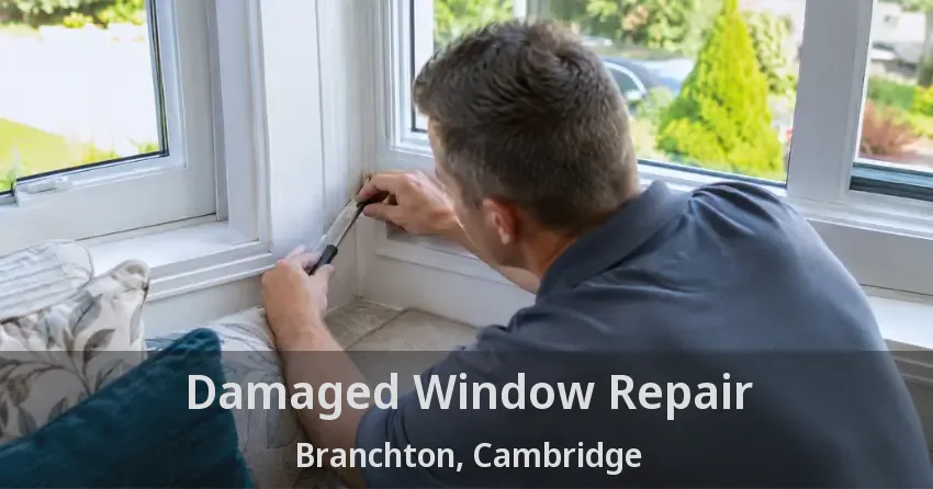 Damaged Window Repair Branchton, Cambridge - ON