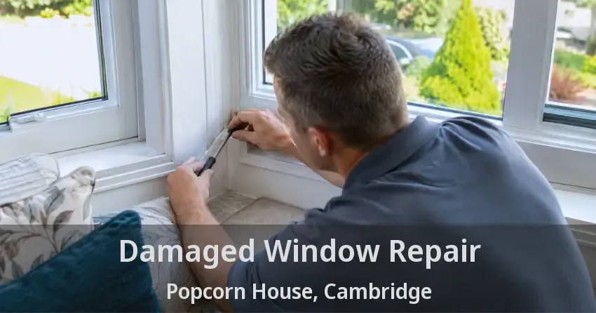 Damaged Window Repair Popcorn House, Cambridge - ON
