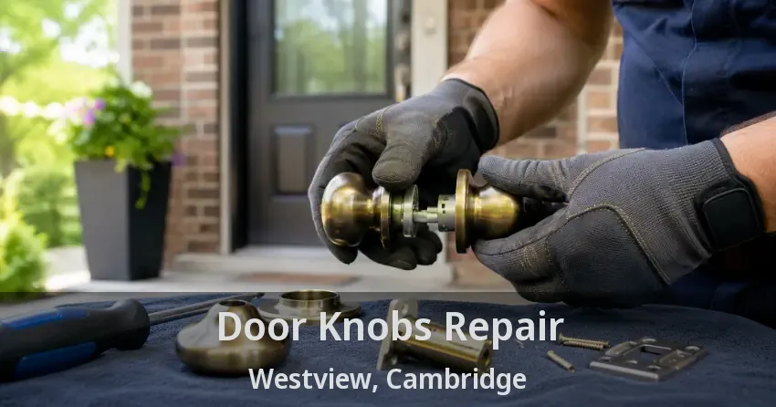 Door Knobs Repair Westview, Cambridge - ON