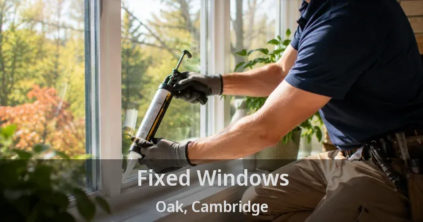 Fixed Windows Oak, Cambridge - ON