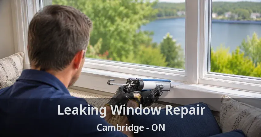 Leaking Window Repair Cambridge - ON