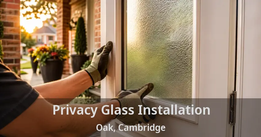 Privacy Glass Installation Oak, Cambridge - ON