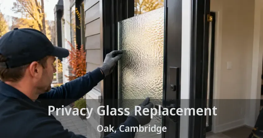 Privacy Glass Replacement Oak, Cambridge - ON